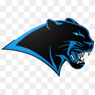 Couch Rider Report, Carolina Panthers Png Logo - Illustration, Transparent Png