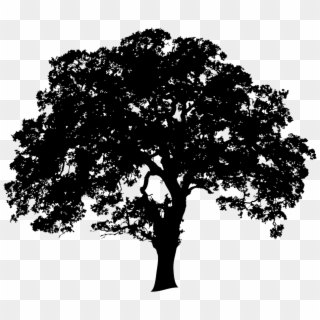 948 X 801 2 - Big Tree Clipart Black And White, HD Png Download