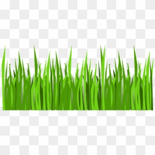 Grass Png Vector , Png Download, Transparent Png
