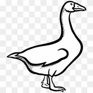 Animal,dark Age,farm,goose,tier,free Vector Graphics,free - Geese Clipart, HD Png Download