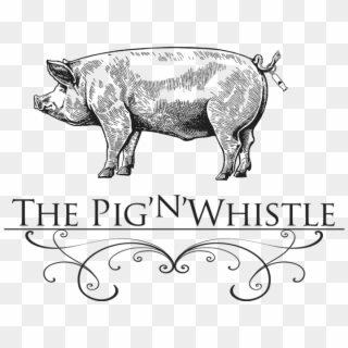 Pig Logo Png - Drawing Pig Side View, Transparent Png