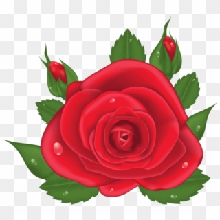 Free Png Red Rose Png Images Transparent - Flores Vermelha Em Png, Png Download