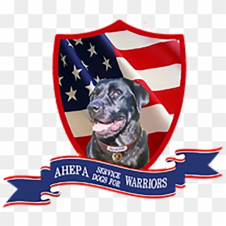 Service Dogs For Wounded Warriors Suffering From Ptsd - American Flag, HD Png Download