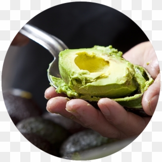 Guacamole - Brussels Sprout, HD Png Download