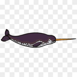 Narwhal Png, Transparent Png