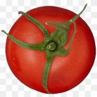 1 Unit - Plum Tomato, HD Png Download