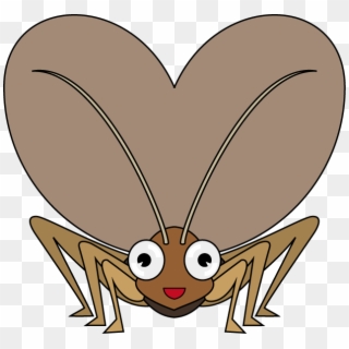 Cricket Insect Free Png Image - Cricket Head Clipart, Transparent Png