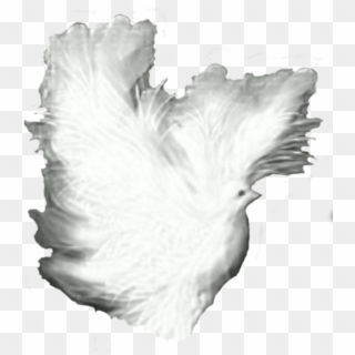 This Free Icons Png Design Of Dove Fantasy White Shadows, Transparent Png