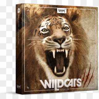 Lion Roar Sound Effect - Tiger, HD Png Download