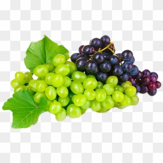 Grapevine - Previous - Next - Bunches Of Grapes, HD Png Download
