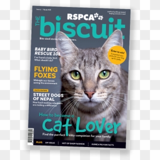 Issue 3 - Rspca, HD Png Download