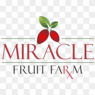 Miracle Fruit Farm, Llc- Fresh Miracle Berries & More, HD Png Download