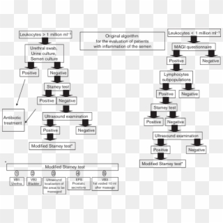 Original Algorithm For The Evaluation Of Patients With, HD Png Download
