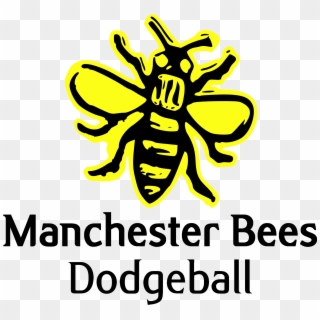 Manchester Bees Dodgeball Club - Manchester Bees Dodgeball, HD Png Download
