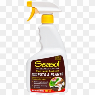 Seasol Pots & Plants, HD Png Download