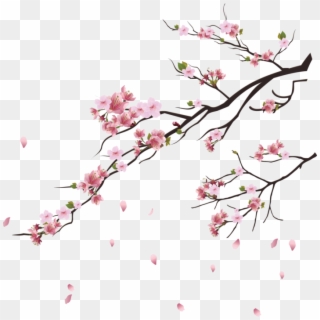 Png Cherry Blossom Tree, Transparent Png