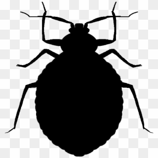 Vector Bug Cricket - Bed Bugs Black And White Clipart, HD Png Download