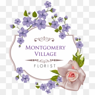 Montgomery Village Florist Inc - Garden Roses, HD Png Download