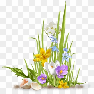 Spring, Flower, Crocus, Saffron, Grass, Shell, Egg - Grass & Flower Png, Transparent Png