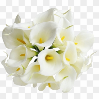 Mala Plate - Lily Flower Transparent Background, HD Png Download