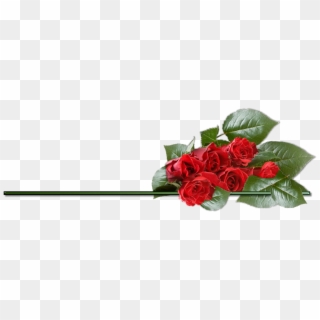 Rose Png - Happy Birthday Roses Png, Transparent Png