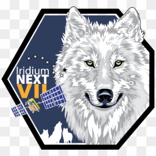 The Wolf The Seventh Iridium® Next Patch Explained - Iridium Next 7 Patch, HD Png Download
