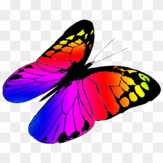 Monarch Butterfly Clipart Three - Colorful Butterflies Flying Png, Transparent Png