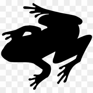 Toad Clipart Silhouette - Frog Silhouette No Background, HD Png Download
