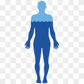 Body Free Png Image - Human Body Water Transparent, Png Download