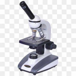 Biology, Student Compound Microscope Photos - Microscopy Gcse Practical, HD Png Download