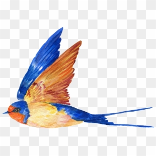 Pintado A Mano De Un Free Flying Bird Png Transparente - Blue Birds Painting Transparent, Png Download