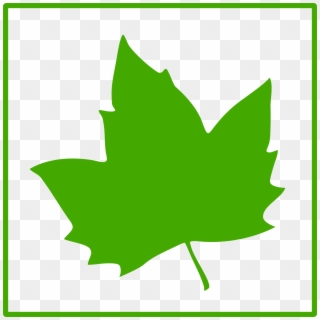 Maple Leaf Clipart Dark Green Leaves - Green Maple Leaf Icon, HD Png Download