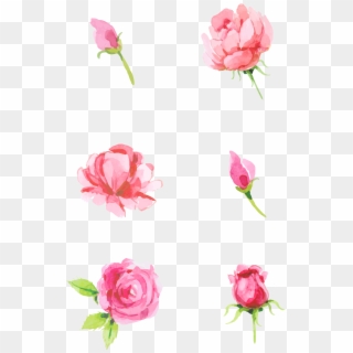 Rose Pink Element Minimalist Png And Psd - Hybrid Tea Rose, Transparent Png
