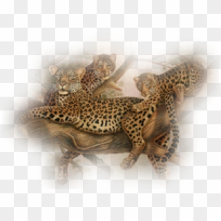 Leopard Png Transparent Images - Lizard, Png Download