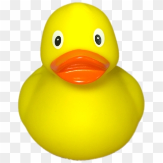 Rubber Duck Transparent - Duck, HD Png Download