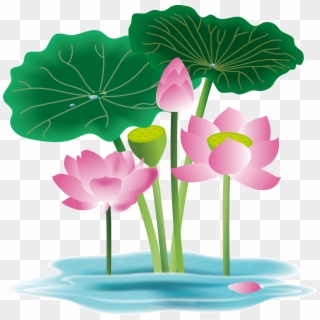 Hand Painted Flower Plant Water Lily Png And Vector - Anthurium, Transparent Png