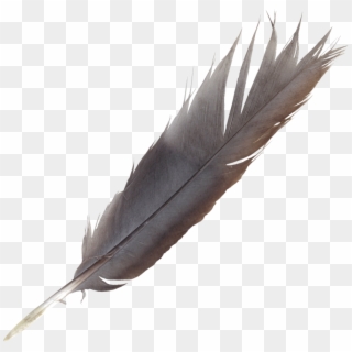 Feathers Png Transparent Onlygfx Com Feather - Stretcher Old, Png Download