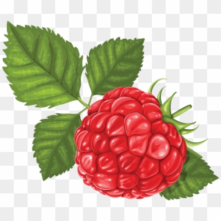 Raspberry - Raspberry Png, Transparent Png