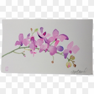 Drawing Orchid Watercolor - Orchid Watercolor Painting, HD Png Download