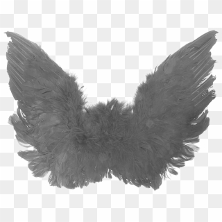 Black Angel Wings Png High-quality Image - Black Angel Wings Png, Transparent Png