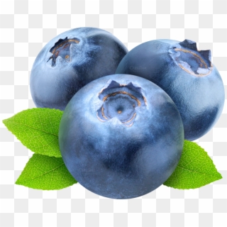 1065 X 827 1 - Blueberries Clipart, HD Png Download