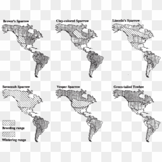 Distributions Of Six Emberizid Species Commonly Captured - Water Shortage Map, HD Png Download