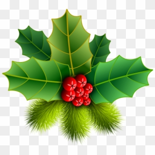 Christmas Holly Picture Christmas Holly Pinheiro Free - American Rose Flowers Png, Transparent Png