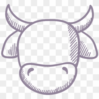 Cow Face Png - Drawing Of A Cow Head, Transparent Png