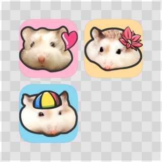 Hammyville Cute Pet Hamster Chat Stickers Bundle On - Hamster, HD Png Download
