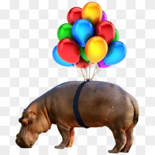 Hippo Sticker, HD Png Download