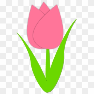 Image - Flower Clip Art Tulip, HD Png Download