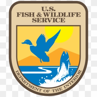 Fish And Wildlife Service Logo - United States Fish And Wildlife Service, HD Png Download