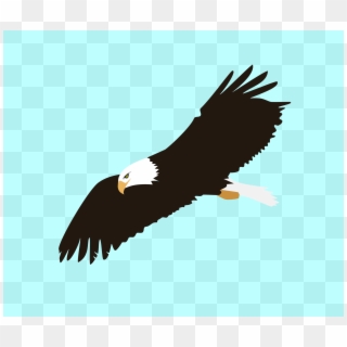 2400 X 2018 6 - Eagle Soaring Clip Art, HD Png Download