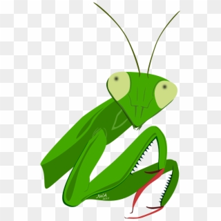 Praying Mantis Clipart Head - Mantidae, HD Png Download